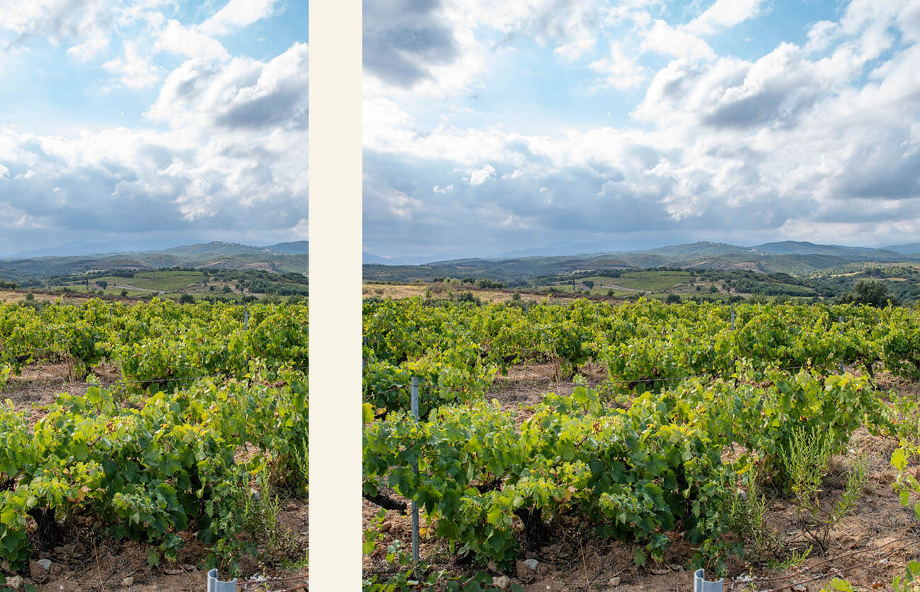 Domaine Spiaggia