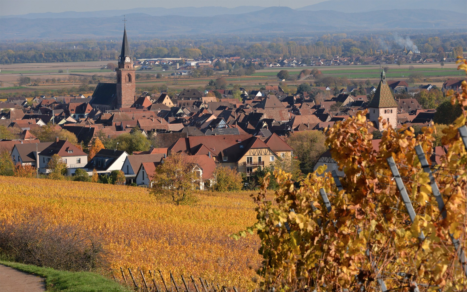Domaine Spielmann Sylvie