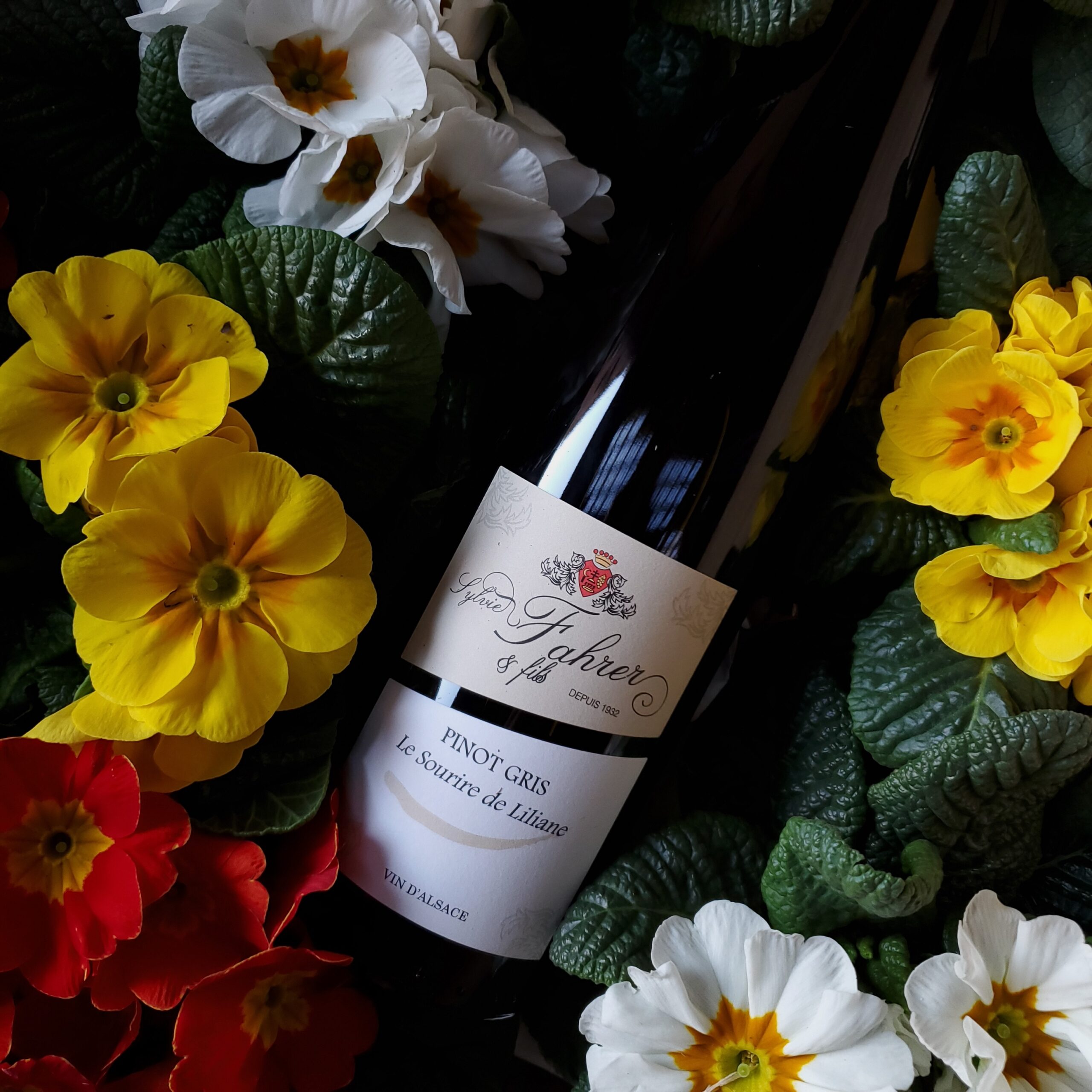Domaine Sylvie Fahrer et Fils