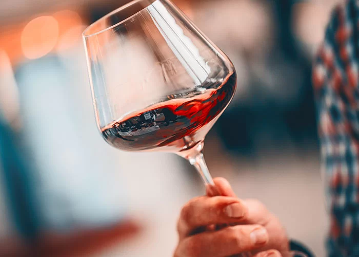 Domaine Talmard Gérald