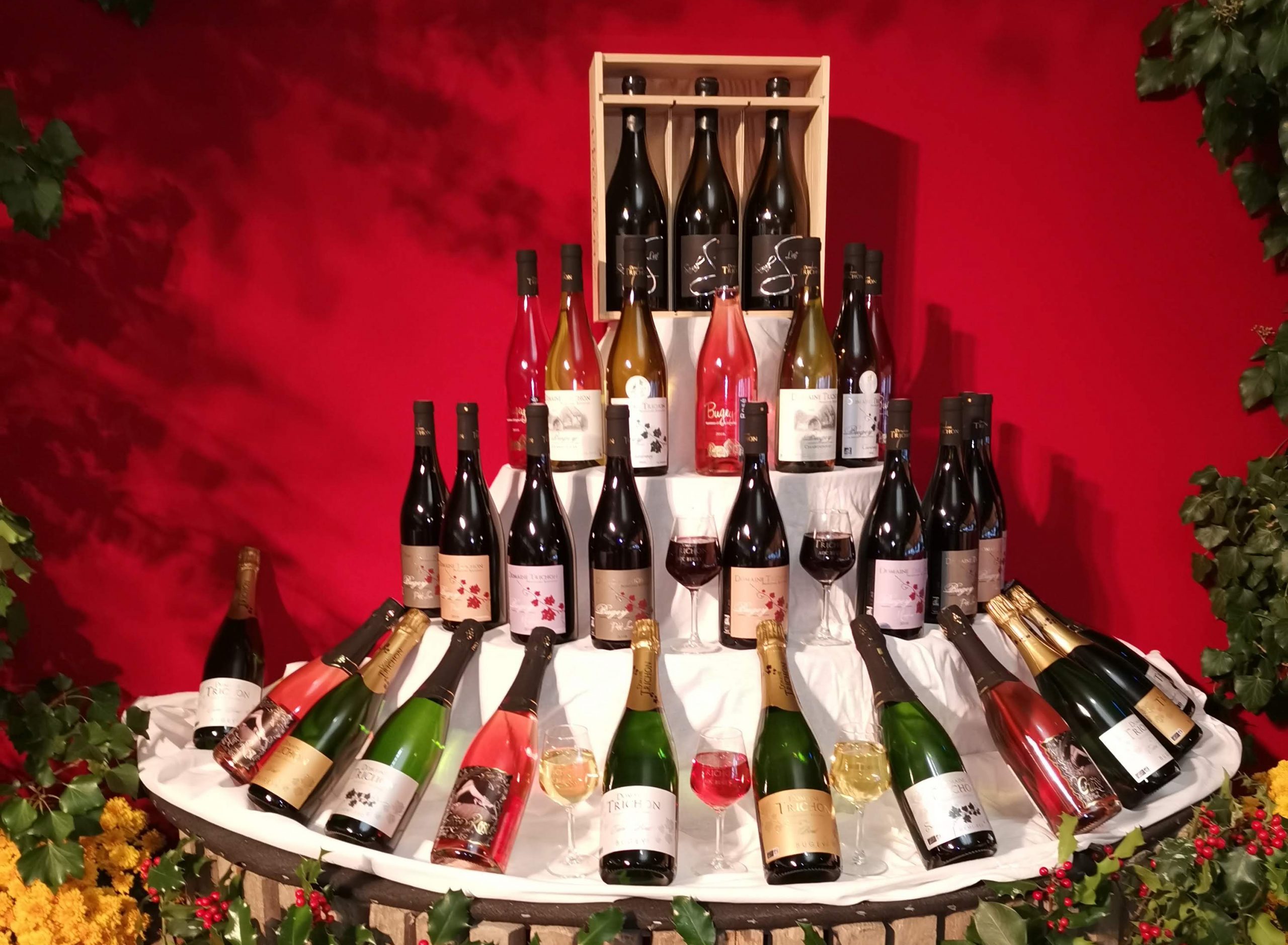 Domaine Trichon