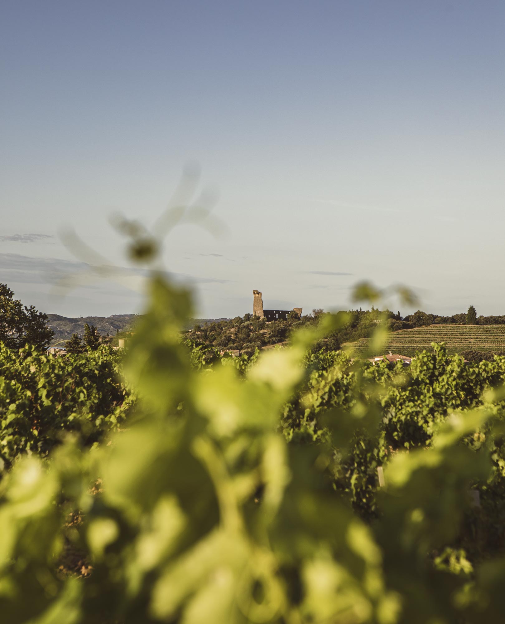 Domaine Usseglio Raymond & Fils
