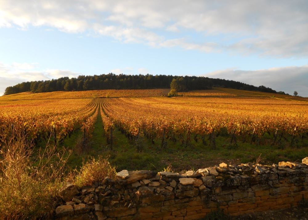 Domaine Vaudoisey