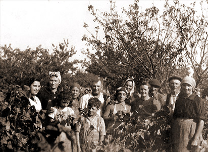 Domaine Villalongue