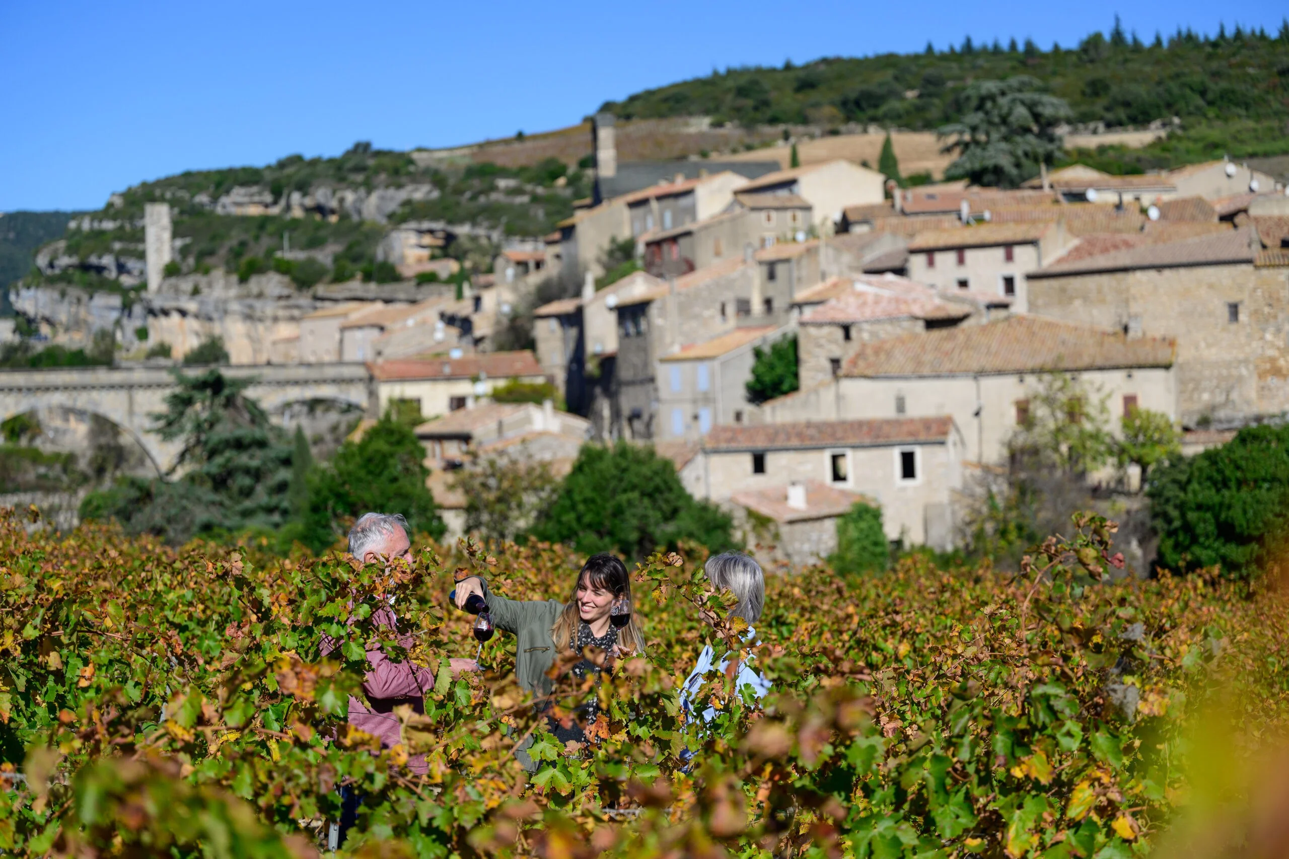 Domaine Vordy