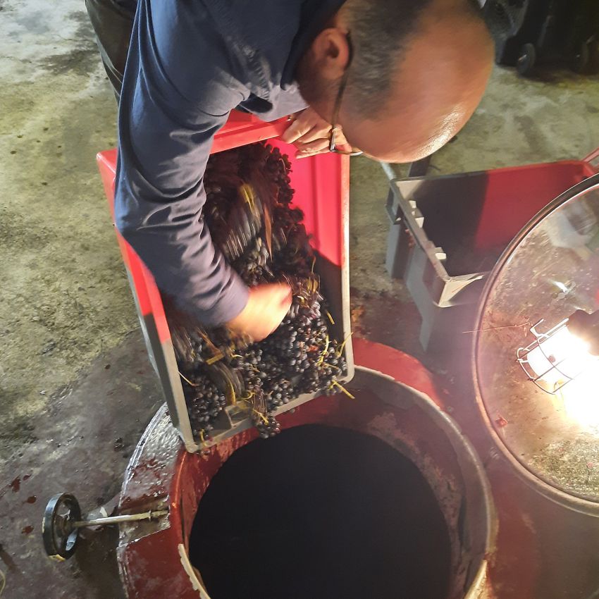 Domaine Wilfried