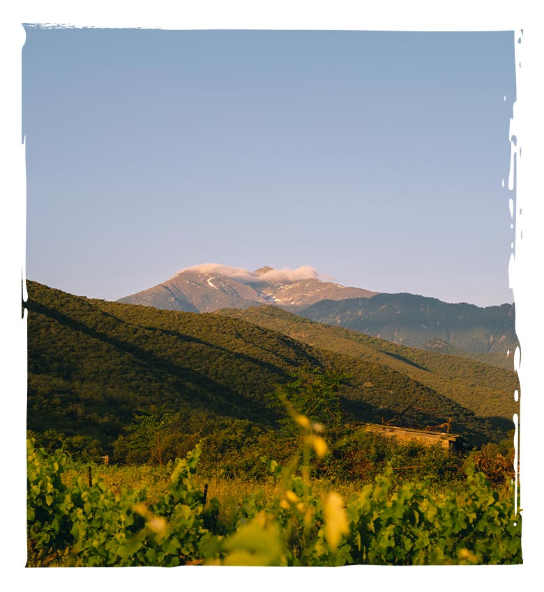 Domaines de Domanova