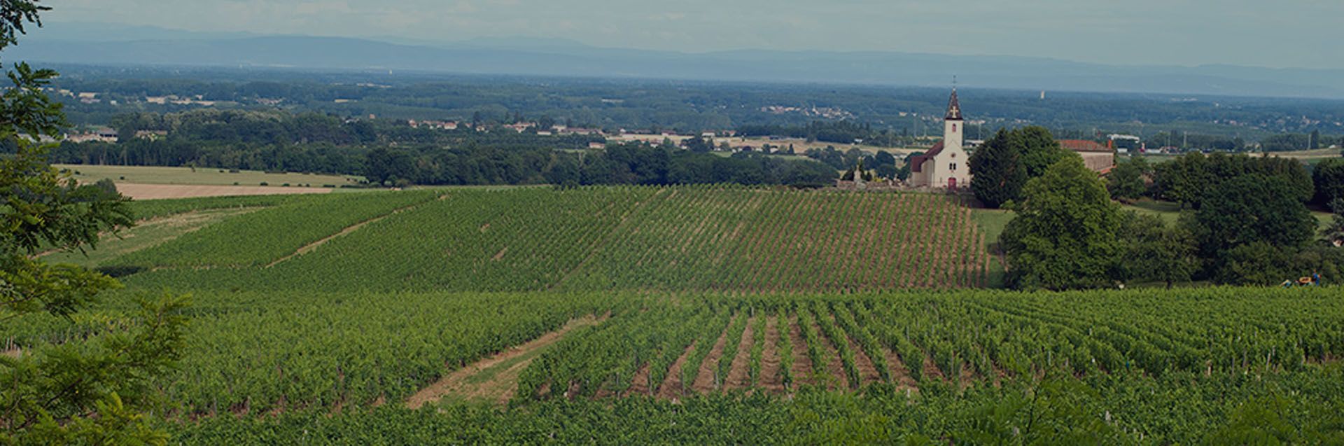 Grands Vins André Bonhomme