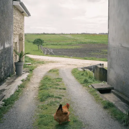 La Ferme des Mauberts