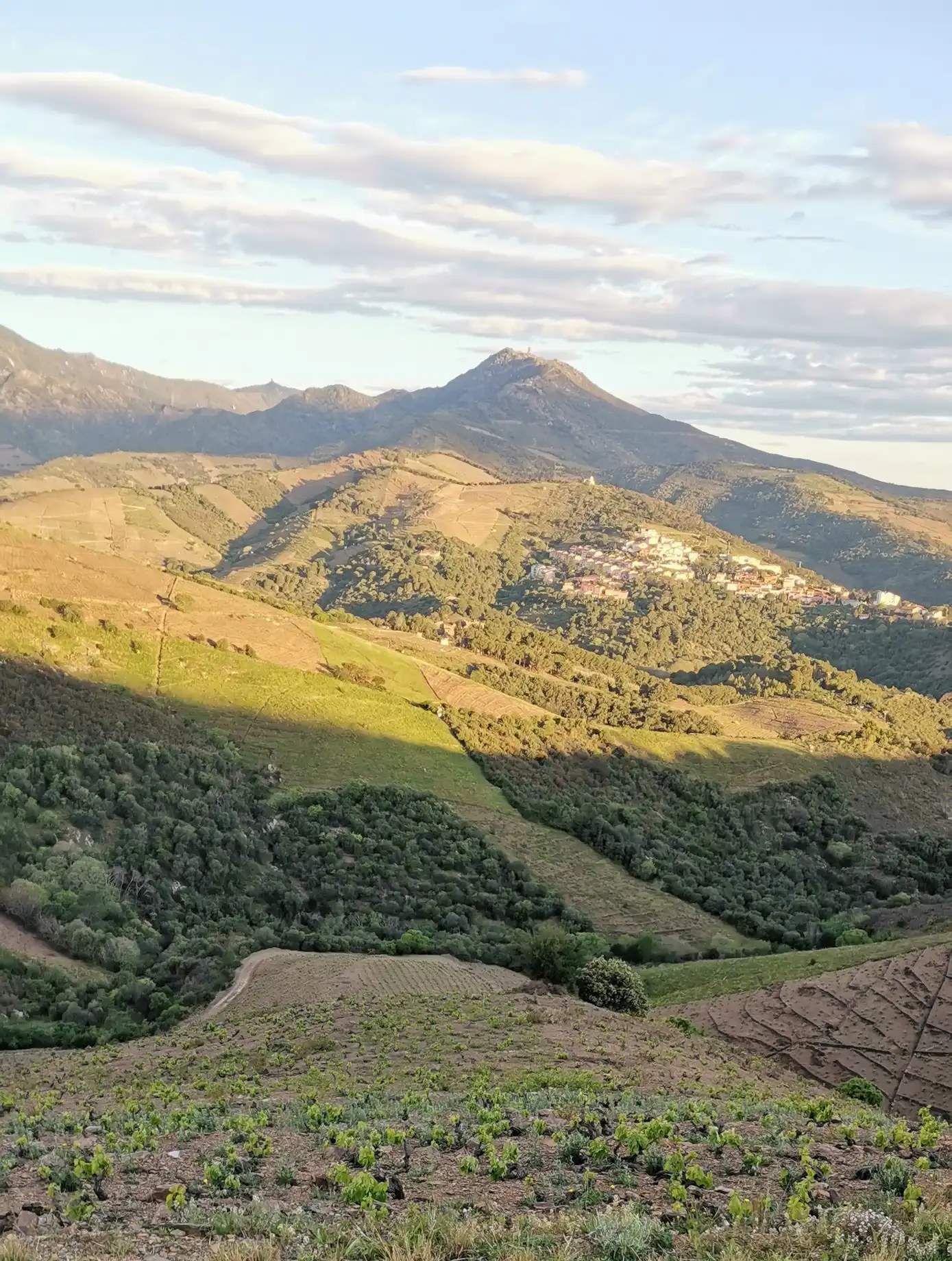 Les Pierres Sauvages