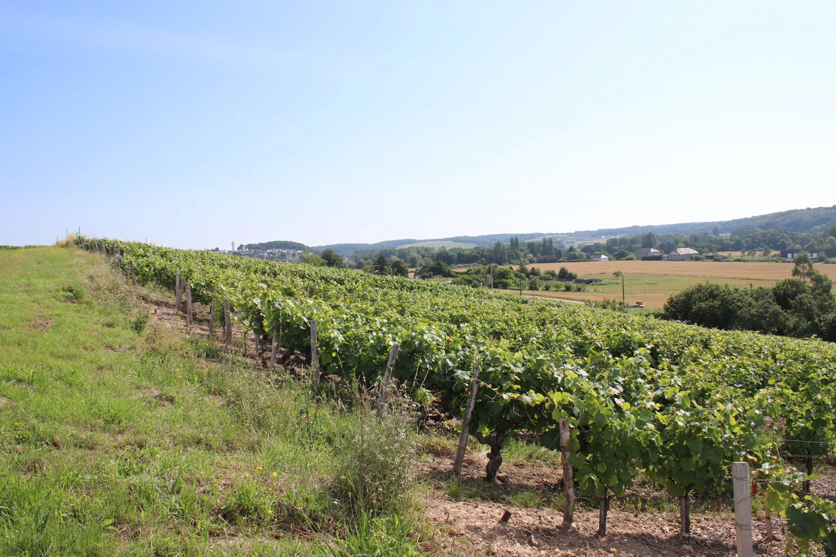Les Vaux Louis