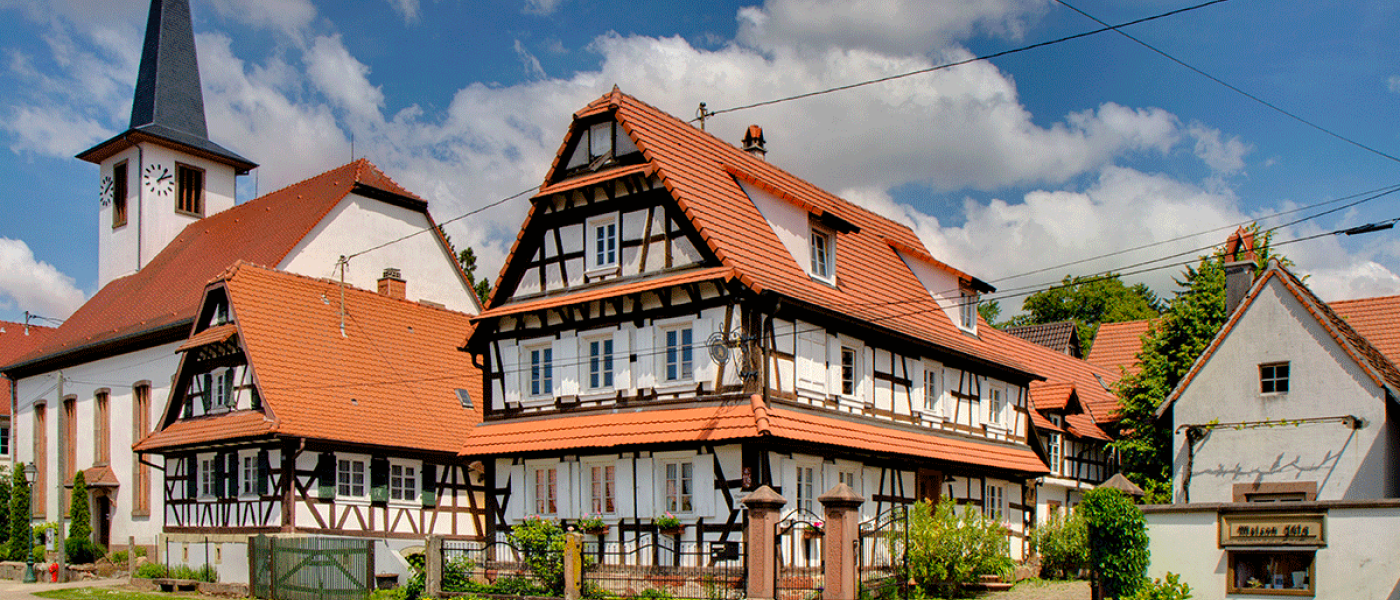 Maison Jülg, Vins d'Alsace