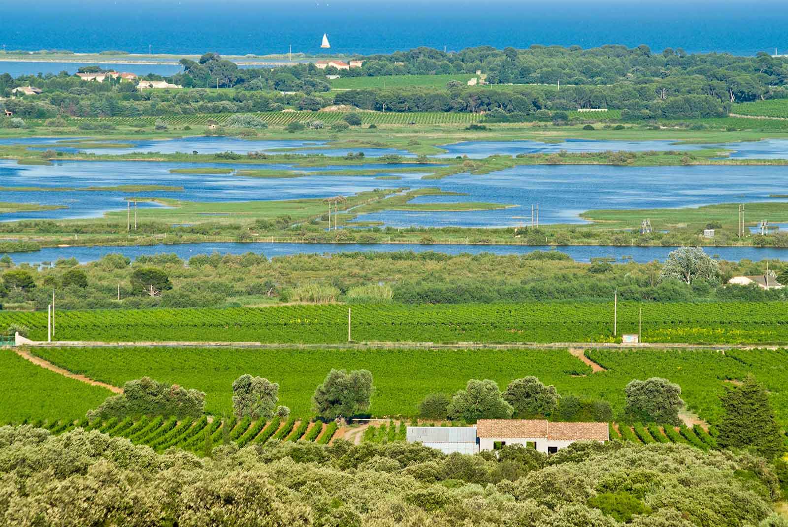 Mas de la Plaine Haute