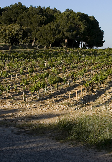 Prieure de Montezargues