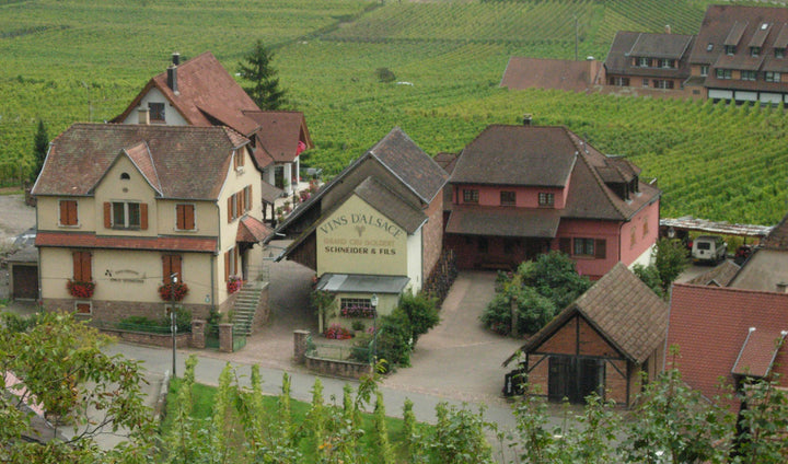 Schneider Xavier