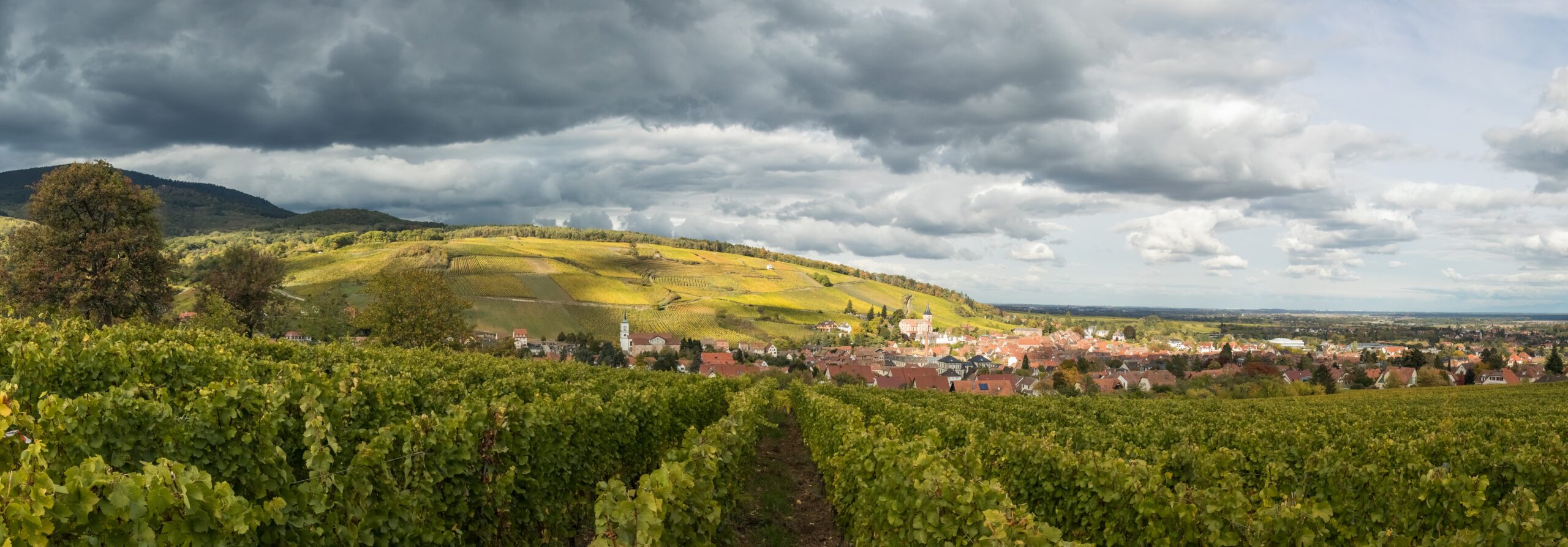Stoeffler Vincent