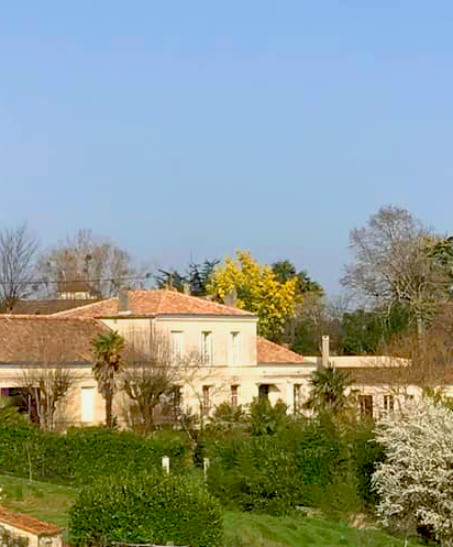 Vignes Secrètes - Chateau la Tuilière