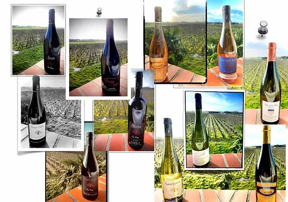 Vignoble Naulin Freres