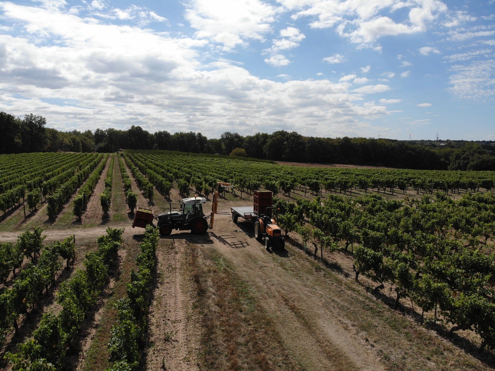 Vignobles du Beau Soleil