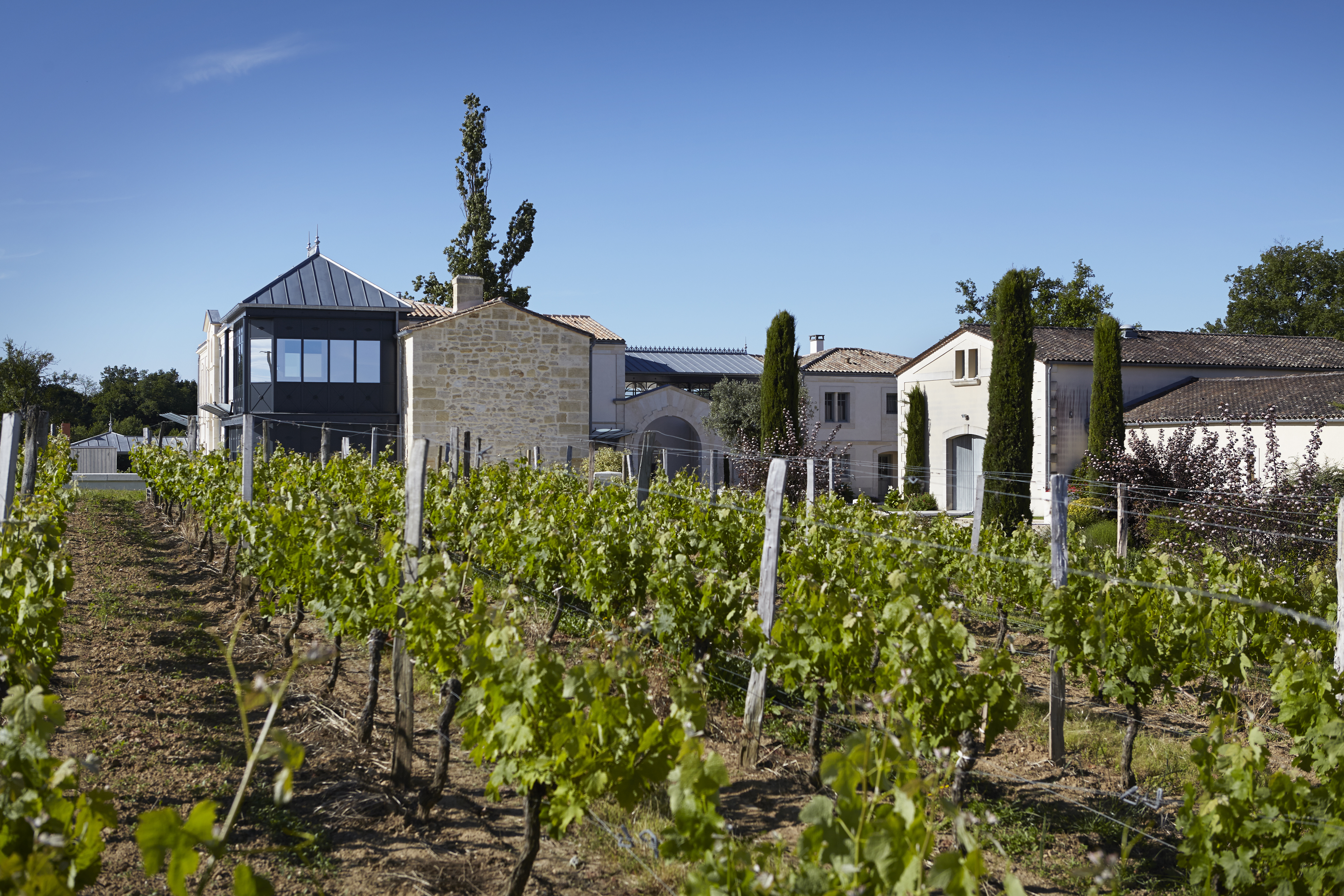 Vignobles Jl Sylvain