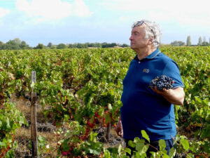 Vignobles Semeillan Mazeau