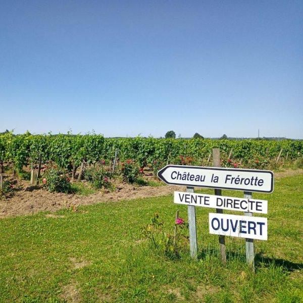 Vignobles Tarendeau