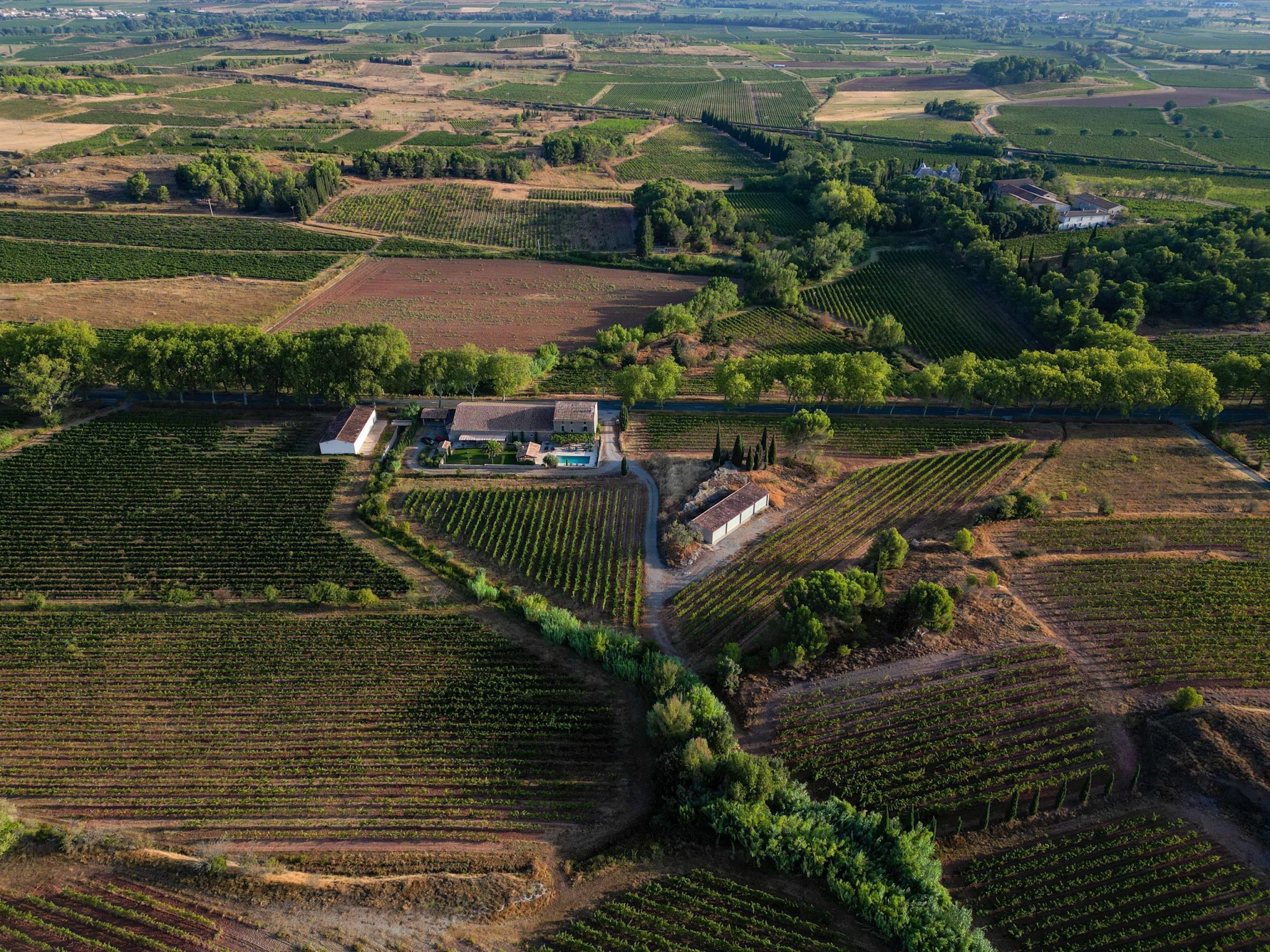 Vino Languedoc