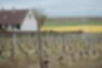 Domaine des Brissettes