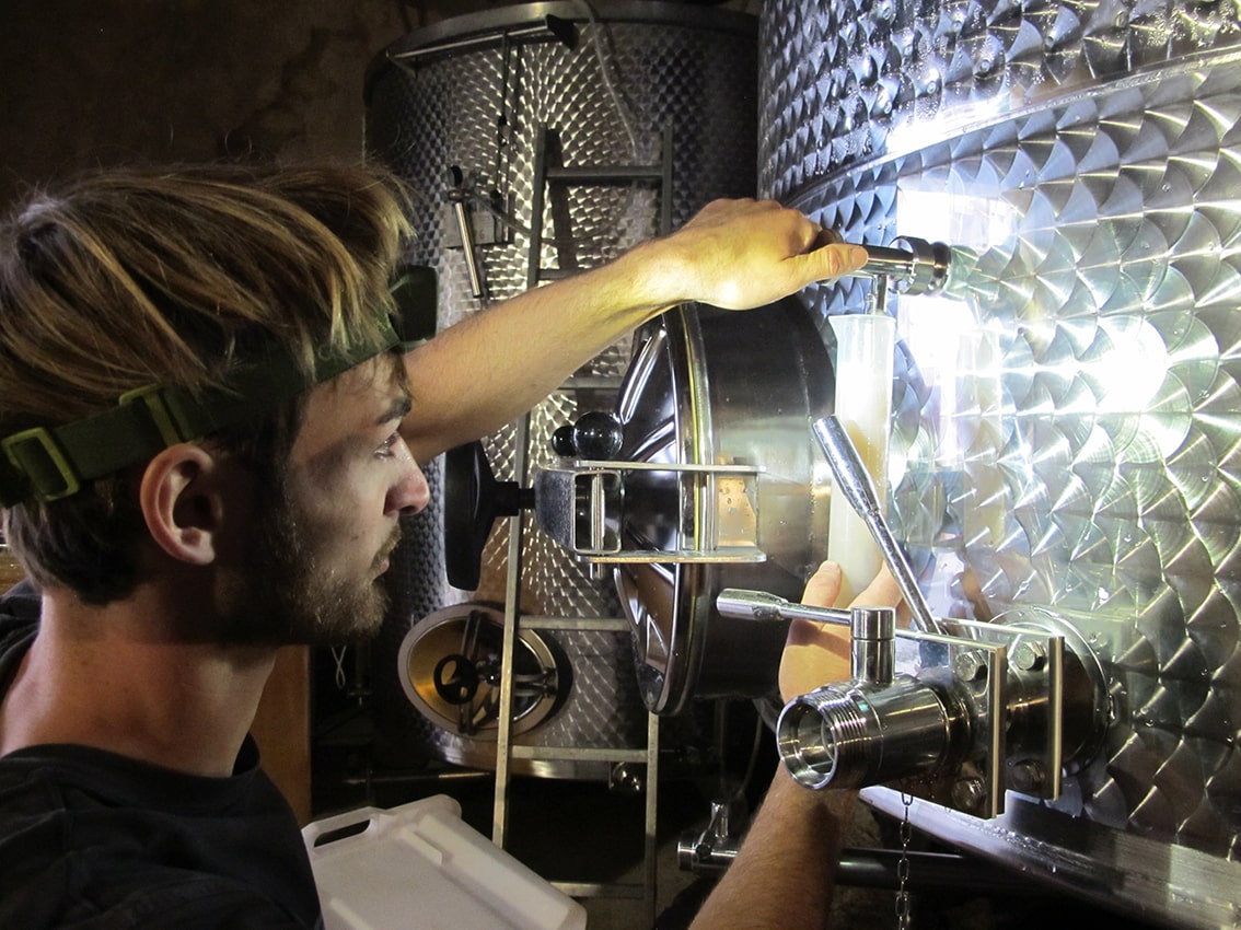 Domaine Lupia
