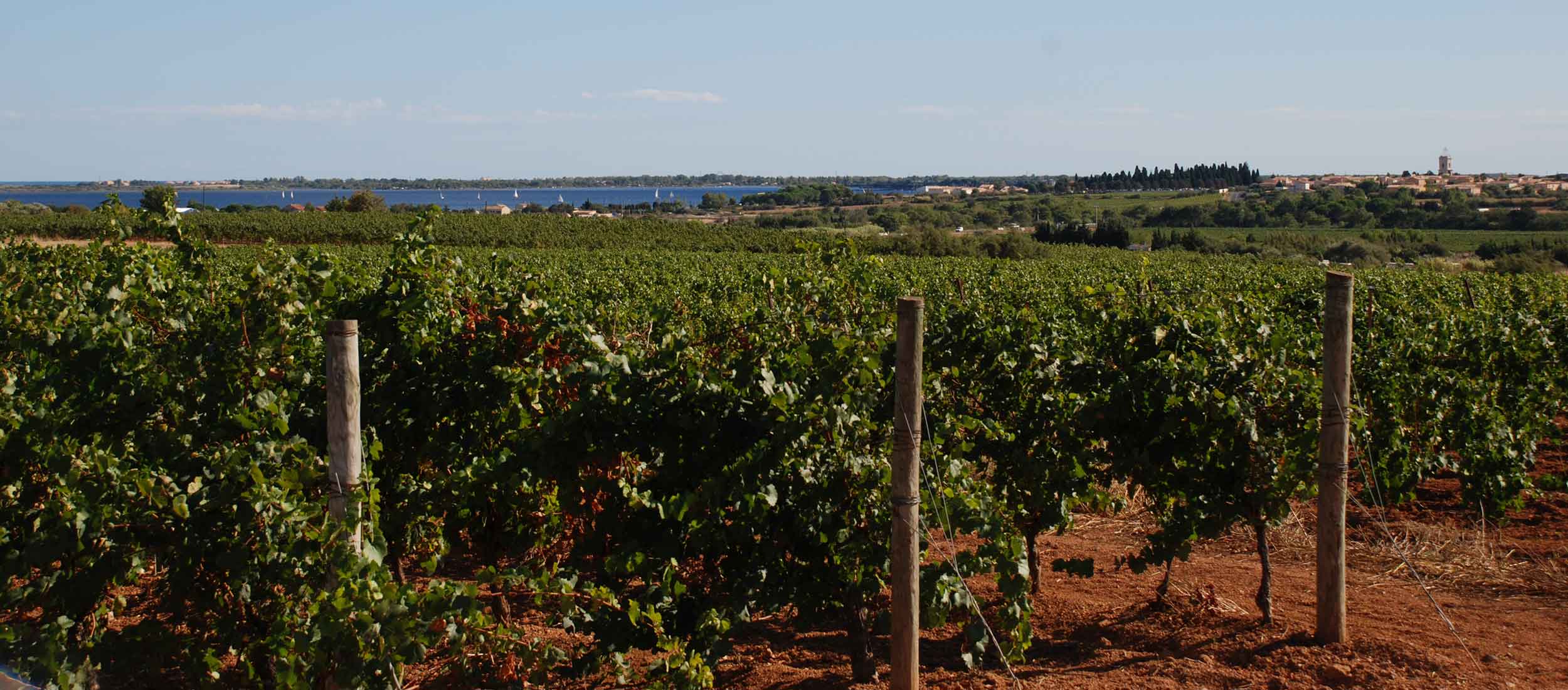 Domaine Madeleine et Marcel