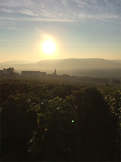 Champagne Denis Frezier
