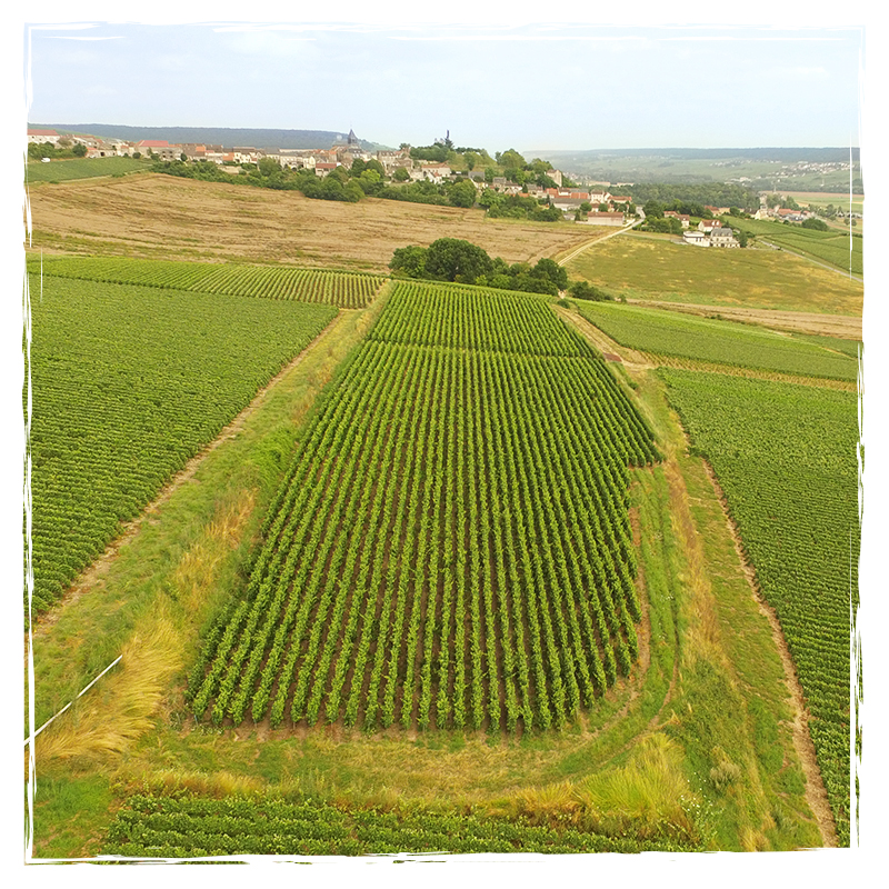 Champagne Denis Patoux