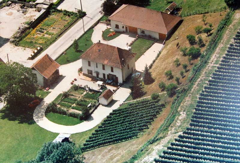 Cellier de Joudin - Domaine Demeure-Pinet