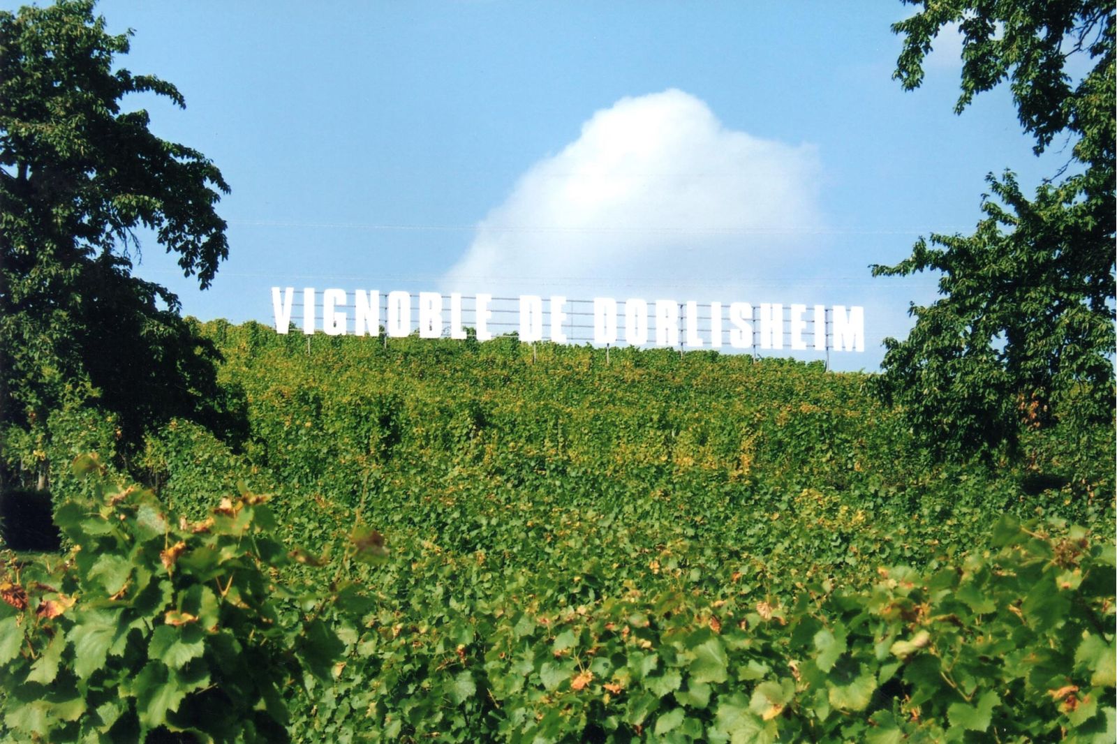 Cellier de la Chapelle