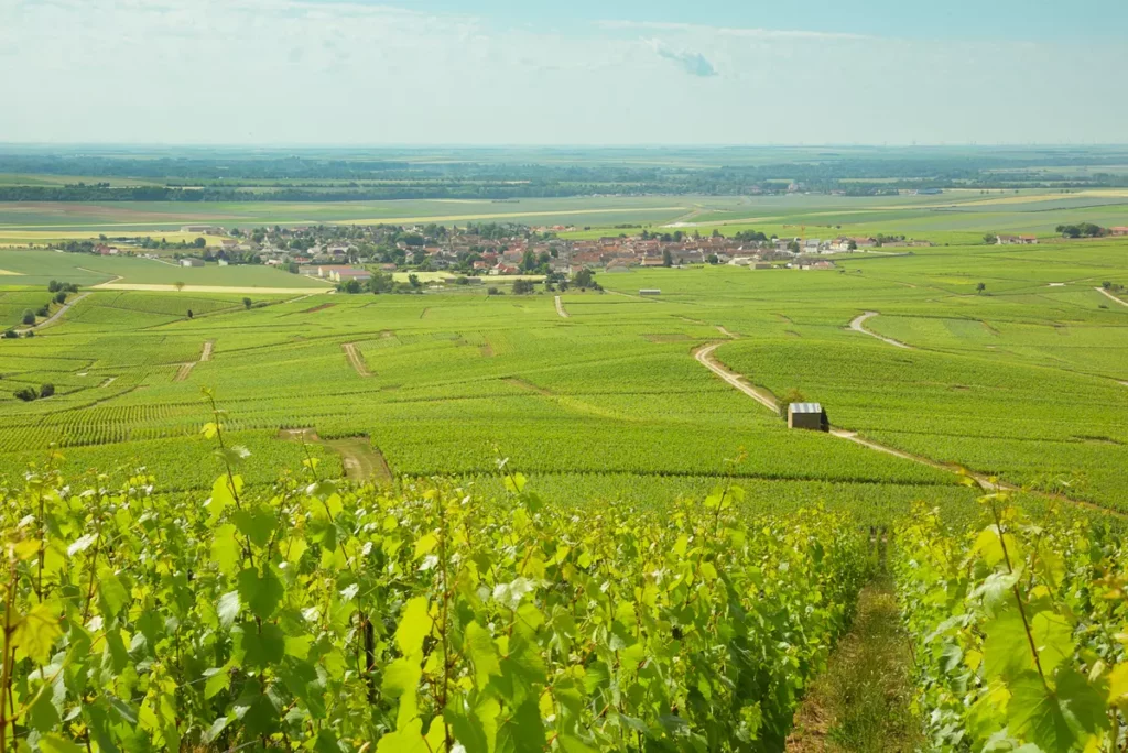 Champagne Bremont et Fils