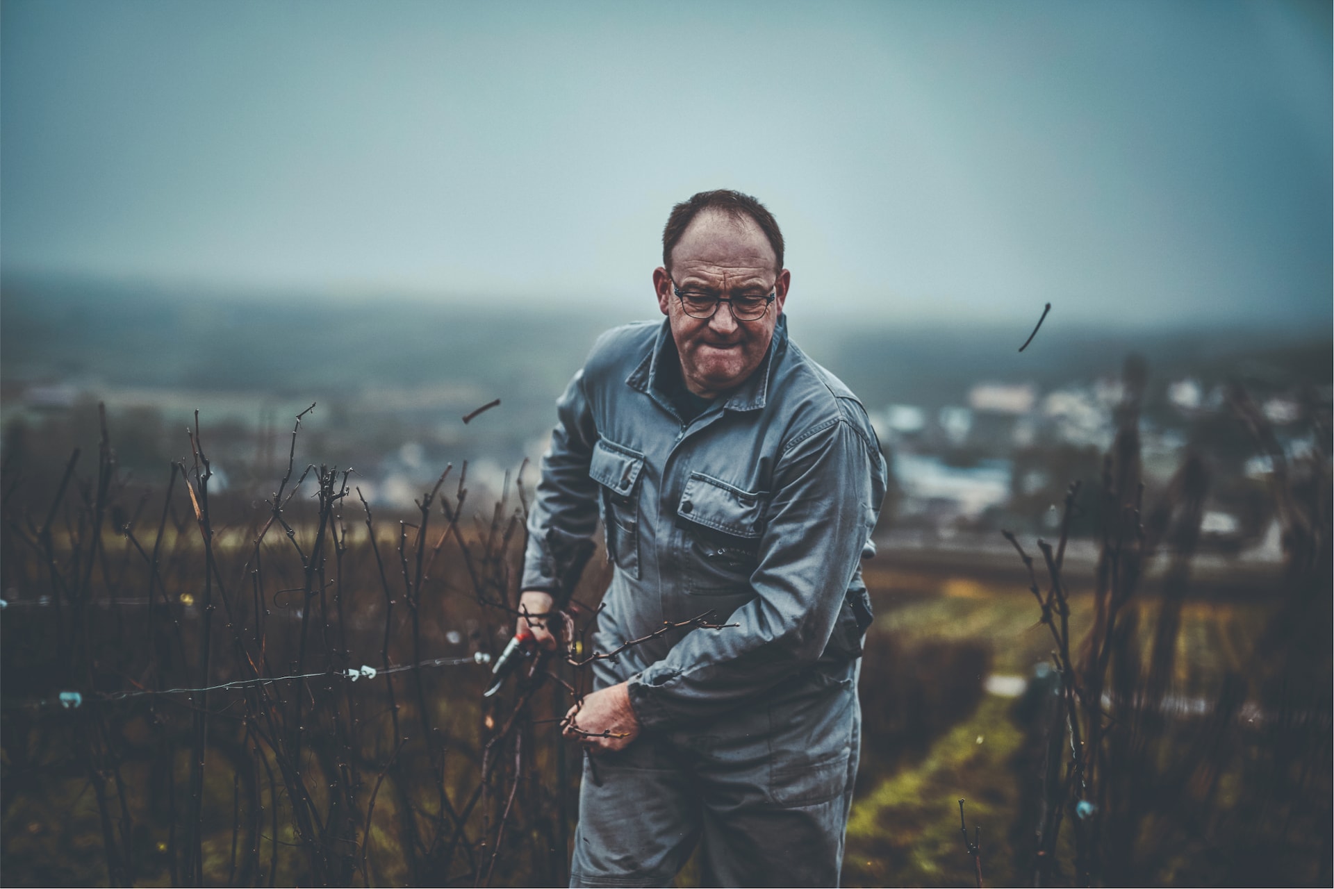 Champagne Daniel Moreau