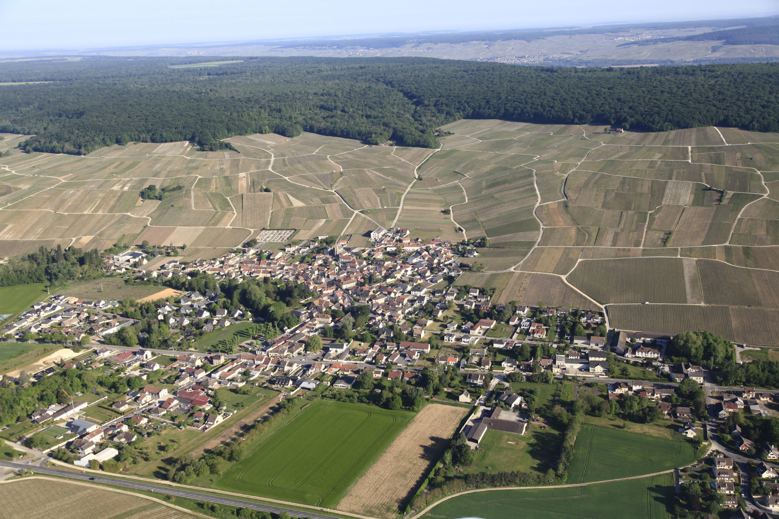 Champagne Godart et Fils
