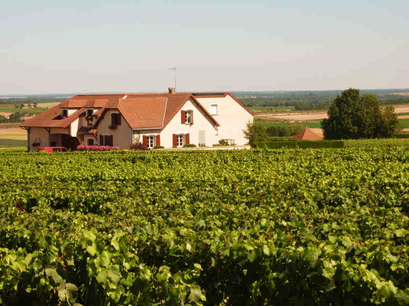 Champagne Lejeune Pere et Fils