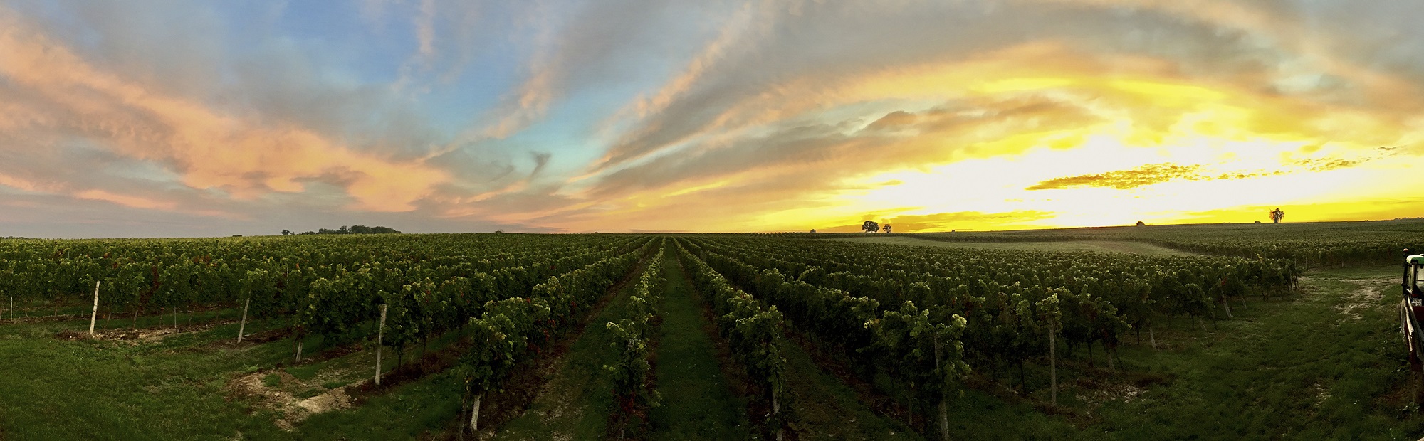 Chateau Arcole - Chateau la Freynelle