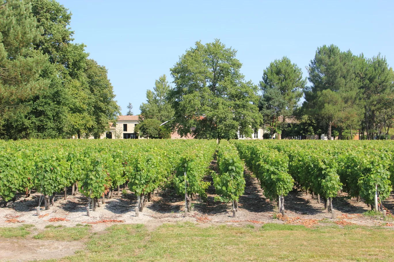 Chateau Baudan