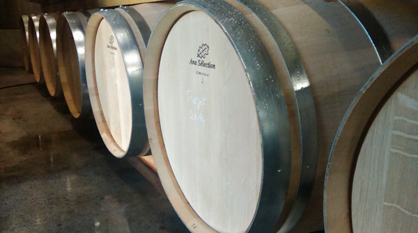 Chateau Cantelauze-Mezy