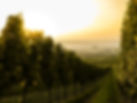 Chateau Castagnac