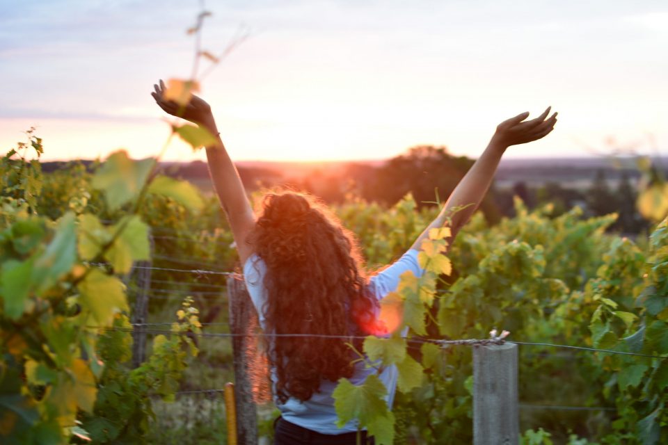 Chateau Chardonnay