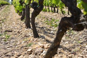 Chateau Cheret Pitres