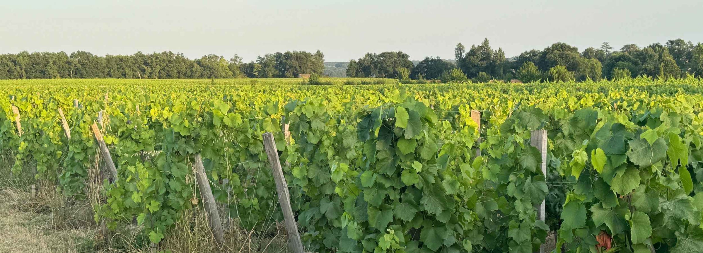 Chateau Clarisse