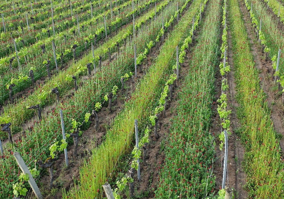 Château Cormeil-Figeac