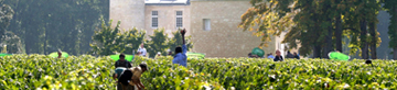 Chateau d'Agassac