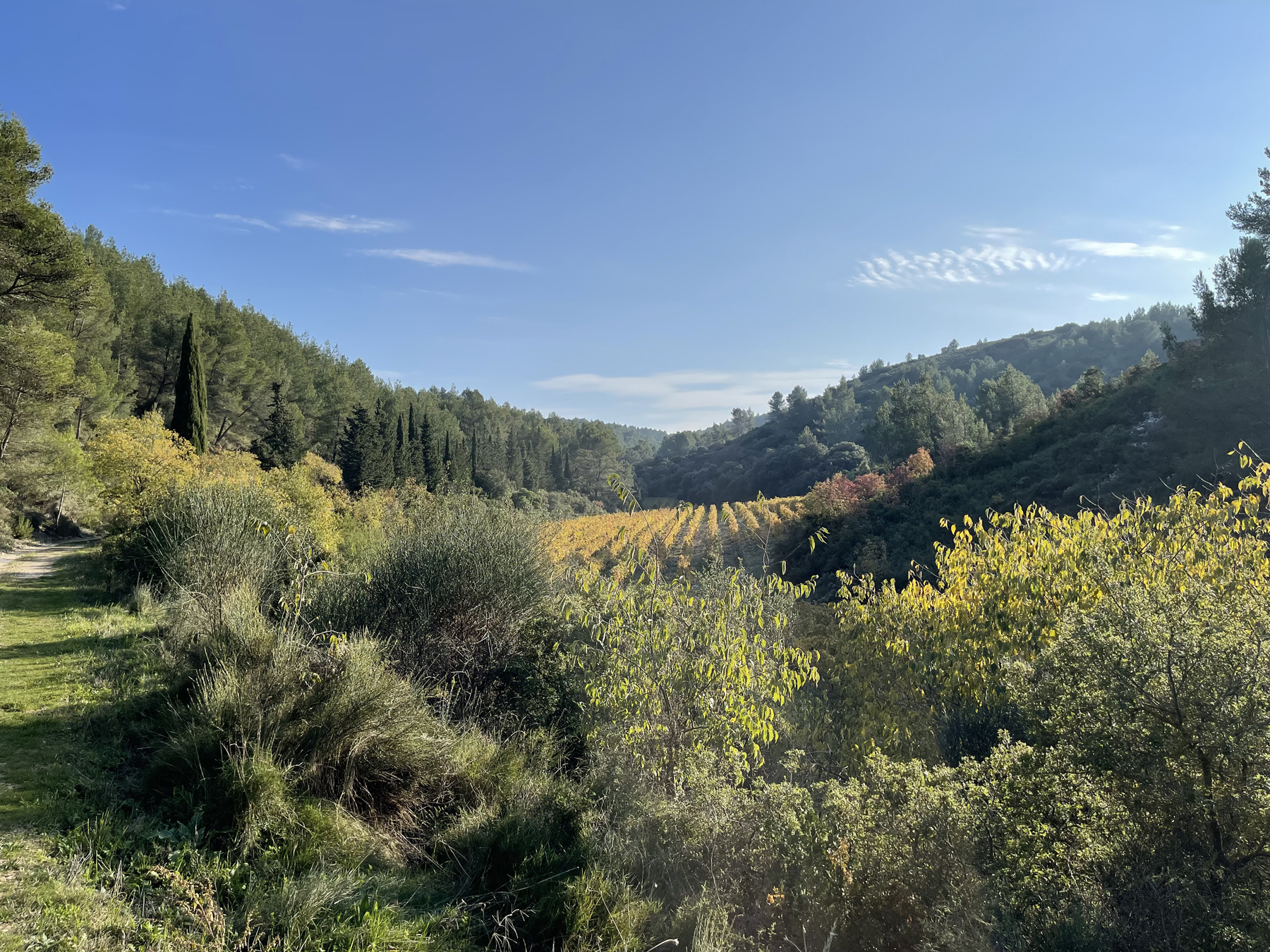 Chateau Dalmeran