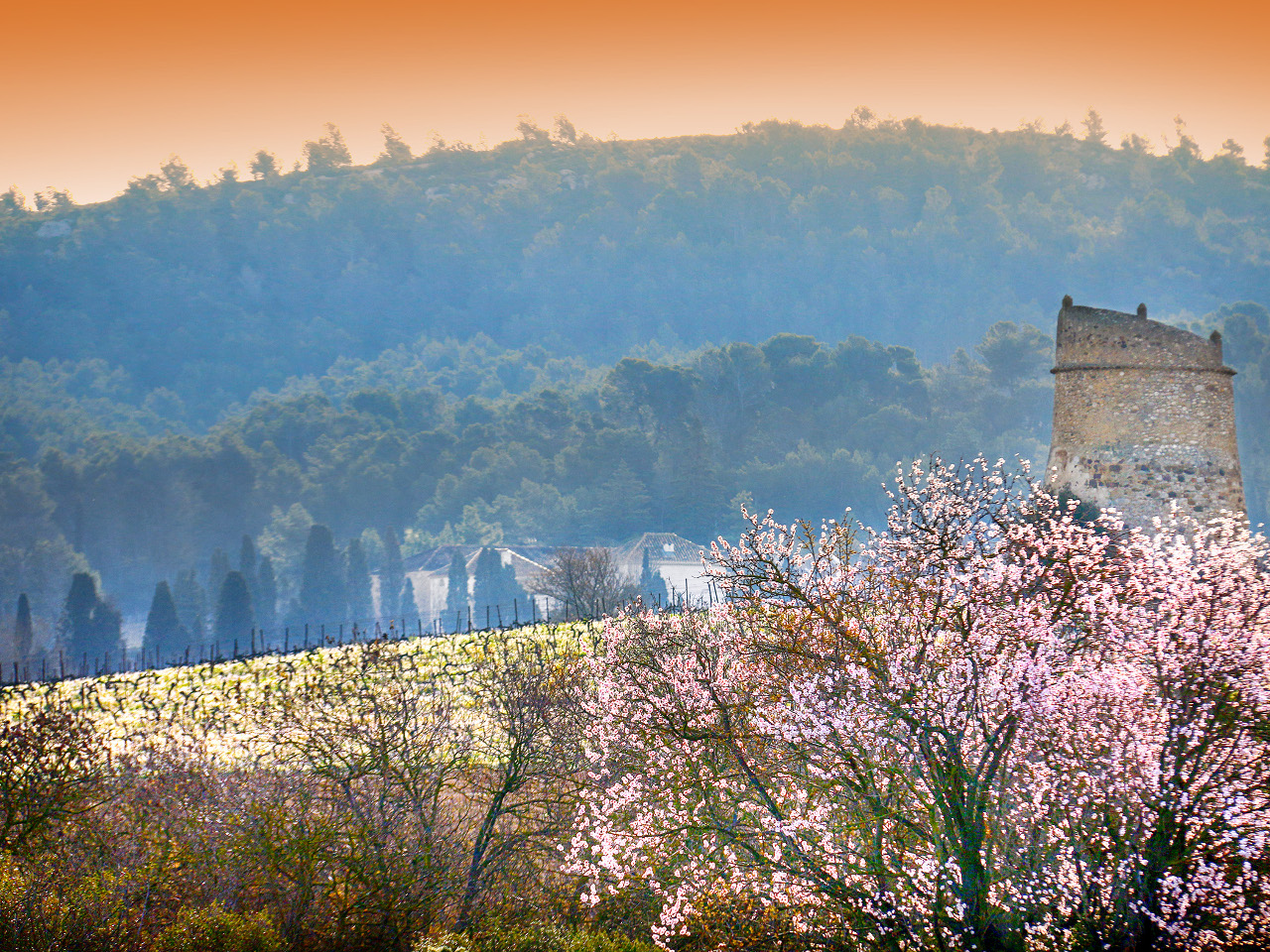Chateau de Caraguilhes