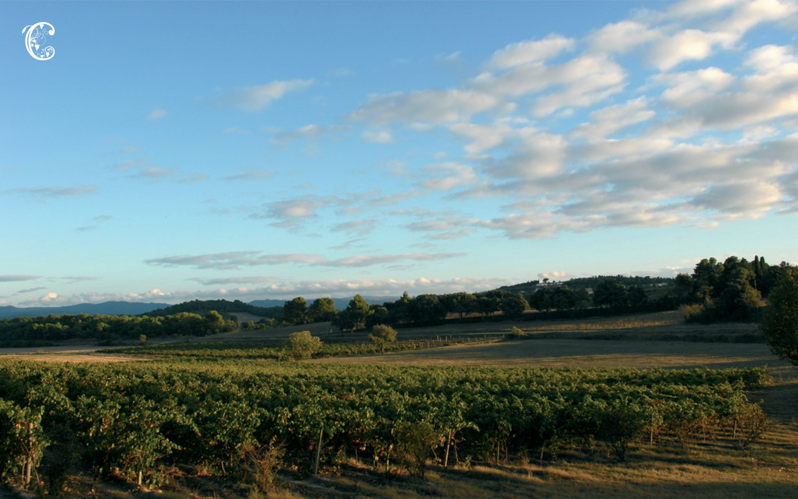 Chateau de Cointes